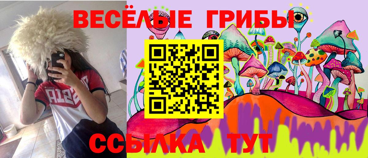 даркнет сайт  Вход с VPN  Балашов  Галлюциногенные грибы Cubensis 